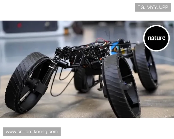 水陆两栖机器人亮相，拓展复杂环境监测能力