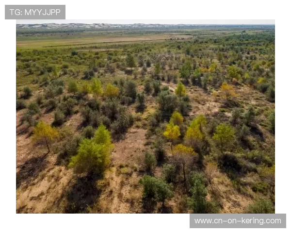生物多样性保护纳入选址评估 生态敏感区赛事干扰度降低